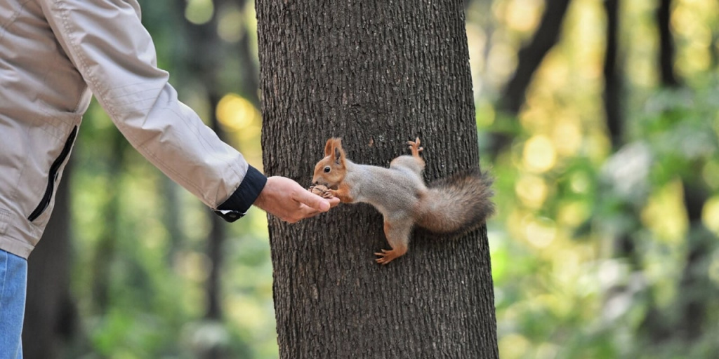 Фото: Иванко.jpg
