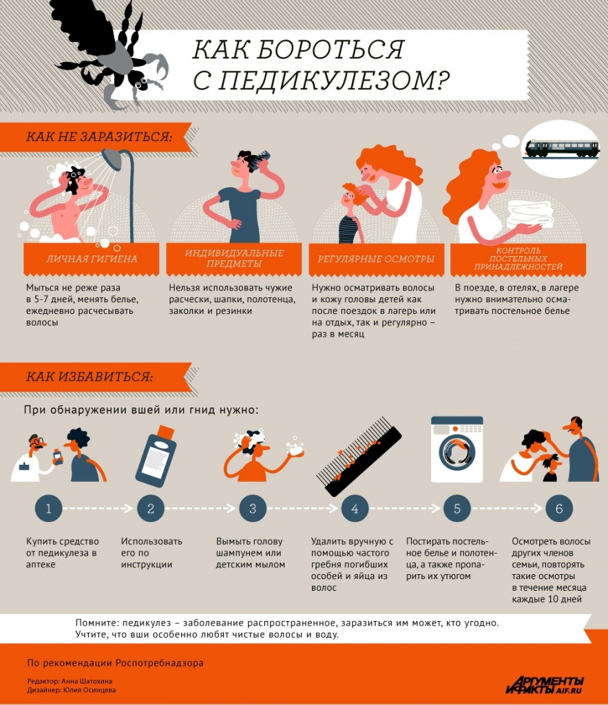 педикулез.jpg педикулез.jpg