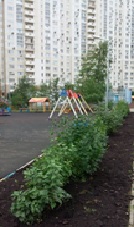 окская 5.jpg окская 5.jpg