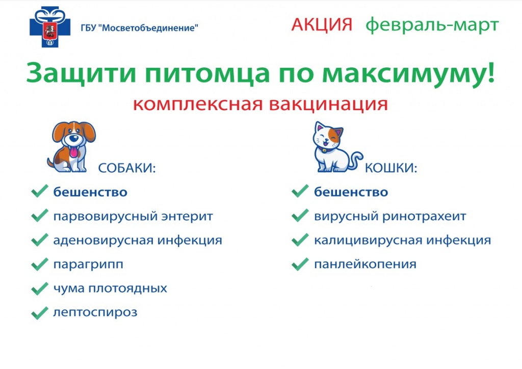 кашпы.jpg