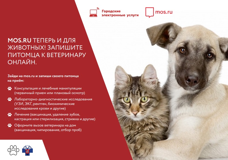 Новый точечный рисунок (2).jpg Новый точечный рисунок (2).jpg