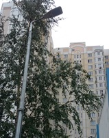 осве.jpg осве.jpg